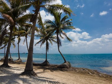 Cancun 'daki El Mirador 2' nin manzarası