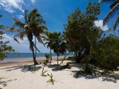 Cancun 'daki El Mirador 2' nin manzarası