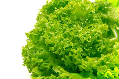 Beyaz arkaplanda marulu kapat