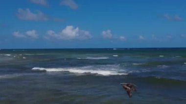 Tulum, Meksika 'daki Boca Paila Plajı