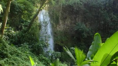 Kosta Rika 'daki La Paz Şelaleleri