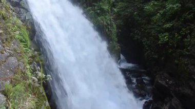 Kosta Rika 'daki La Paz Şelaleleri