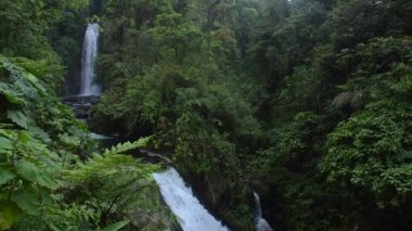 Kosta Rika 'daki La Paz Şelaleleri