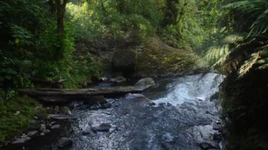 Kosta Rika 'daki La Paz Şelaleleri