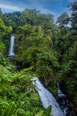 Kosta Rika 'daki La Paz şelalesi ulusal parkı