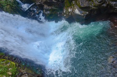 Kosta Rika 'daki La Paz şelalesi ulusal parkı