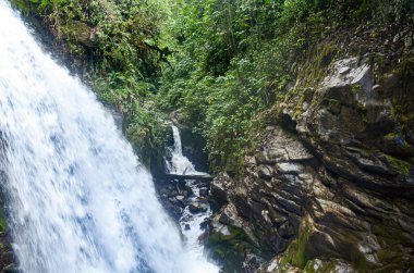 Kosta Rika 'daki La Paz şelalesi ulusal parkı