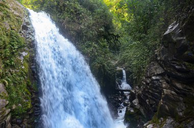 Kosta Rika 'daki La Paz şelalesi ulusal parkı