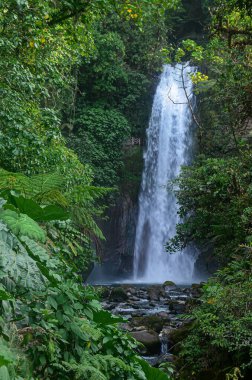 Kosta Rika 'daki La Paz şelalesi ulusal parkı