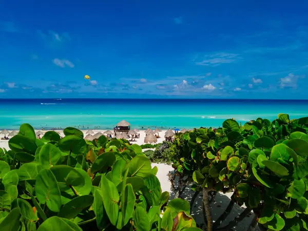 stock image Dolphin Beach in Cancun Hotel Zone
