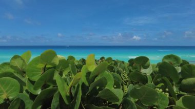 Meksika 'daki Dolphins Sahili' nden Cancun 'un hava görüntüsü.