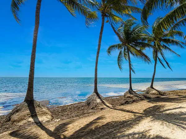 Stock image Panoramic view of the Mirador 2 beach in Cancun