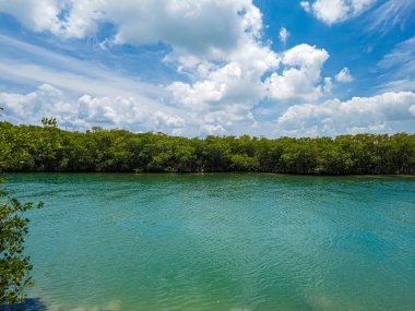 Cancun Otel Bölgesindeki Sanat Bahçesinin panoramik manzarası