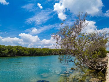Cancun Otel Bölgesindeki Sanat Bahçesinin panoramik manzarası