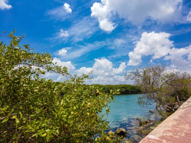 Cancun Otel Bölgesindeki Sanat Bahçesinin panoramik manzarası