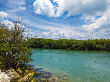 Cancun Otel Bölgesindeki Sanat Bahçesinin panoramik manzarası