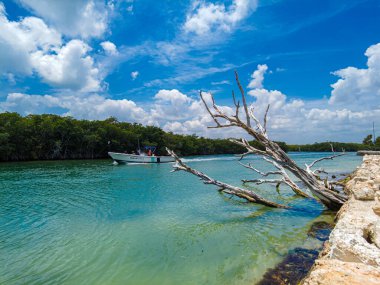 Cancun Otel Bölgesindeki Sanat Bahçesinin panoramik manzarası
