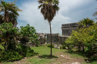 Meksika 'daki Tulum' un arkardiyolojik alanı