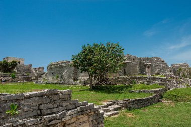 Meksika 'daki Tulum' un arkardiyolojik alanı