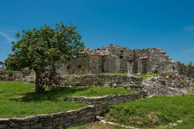 Meksika 'daki Tulum' un arkardiyolojik alanı