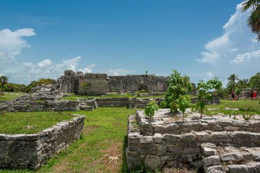 Meksika 'daki Tulum' un arkardiyolojik alanı