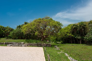 Meksika 'daki Tulum' un arkardiyolojik alanı