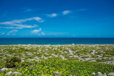 Akumal, Meksika 'da Rocky Beach' te güneşli bir gün.