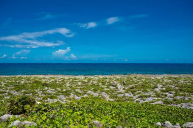 Akumal, Meksika 'da Rocky Beach' te güneşli bir gün.