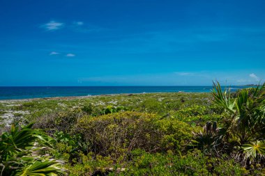 Akumal, Meksika 'da Rocky Beach' te güneşli bir gün.