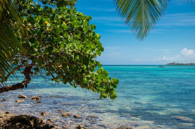 Akumal, Meksika 'da Rocky Beach' te güneşli bir gün.