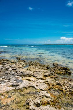 Akumal, Meksika 'da Rocky Beach' te güneşli bir gün.