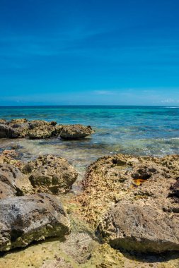 Akumal, Meksika 'da Rocky Beach' te güneşli bir gün.