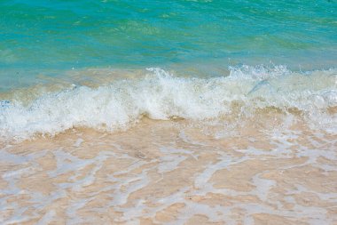 Chemuyil, Meksika 'daki Xcacel plajı manzarası