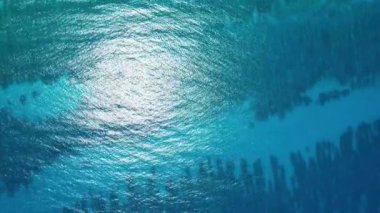 Meksika Karayipleri 'ndeki Akumal Körfezi' nin havadan görünüşü