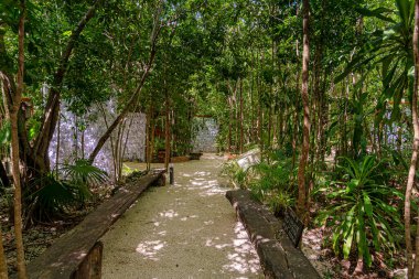 Cancun ormanının derinliklerinde, Meryem Ana 'nın Knots Tapınağı meditasyon, dua ve yansıma için huzurlu bir cennettir.