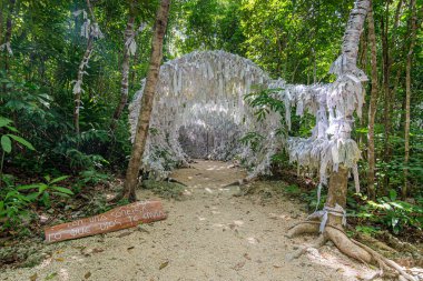 Cancun ormanının derinliklerinde, Meryem Ana 'nın Knots Tapınağı meditasyon, dua ve yansıma için huzurlu bir cennettir.