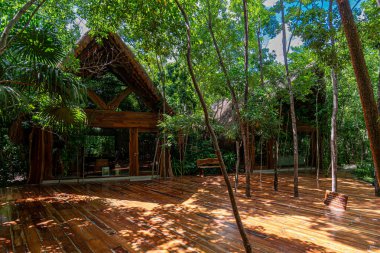 Nestled deep within the Cancun jungle, the Cemetery of Mary Untier of Knots is a serene haven for meditation, prayer, and reflection clipart