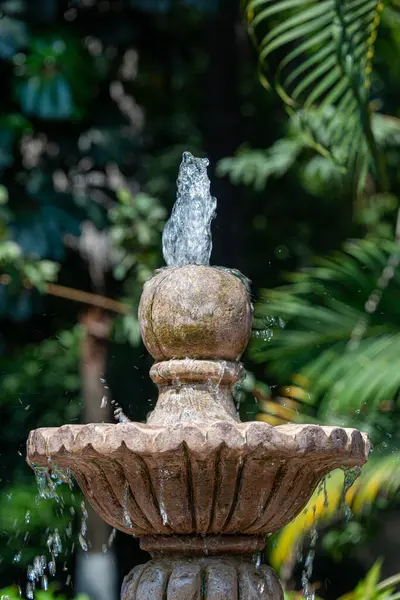 Cuernavaca, Morelos 'ta yemyeşil bir bahçede bulunan geleneksel bir taş çeşmenin detaylı bir yakın çekimi Meksika bahçe manzaralarının sükunetini ve doğal güzelliğini yansıtıyor.