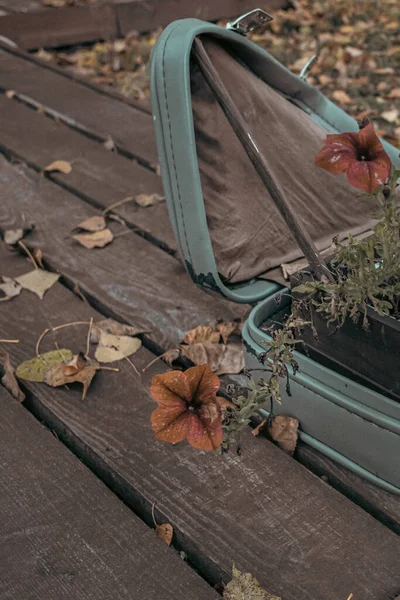 Sonbaharda Ahşap Bir Terasta Eski Bir Bavulda Çiçekler Eski Bavul — Stok fotoğraf
