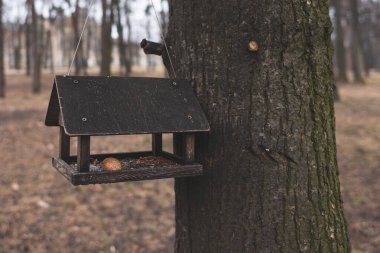 İçinde fındık olan bir ağaçtaki ahşap besleyici. Tahta ürün. Vahşi hayvanları ve kuşları besleyin. Yem atıcısında fındık var. Ev şeklinde besleyici..