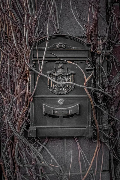 A vintage mailbox wrapped in dry branches.  Gothic exterior style. Dry branches. Vintage mailbox. A dry plant near the house. Abandoned estate.