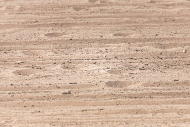 Kuru kum dokusu. Kumda ayak izleri. Tropik plaj. Yaz ıssızlığı. Dengesiz kum yüzeyi. Çöl arkaplanı.