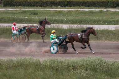 Kyiv, Ukrayna - 14 Mayıs 2023: Hipodromda at yarışı. Muhteşem binicilik sporu. Ekipmandaki atlar. İleri koş. Başlangıç çizgisi. Toynak ezmek. Hayvanlarla ilgili spor. Koşan bir atın hızı. Yarış pistinde olay.