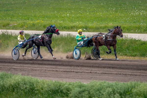 stock image Kyiv, Ukraine - May 14 2023: Horse racing at the hippodrome. Spectacular equestrian sport. Horses in equipment. Run forward. Starting line. Stomping hooves. Sports involving animals. The speed of a trotting horse. Event at the racetrack.