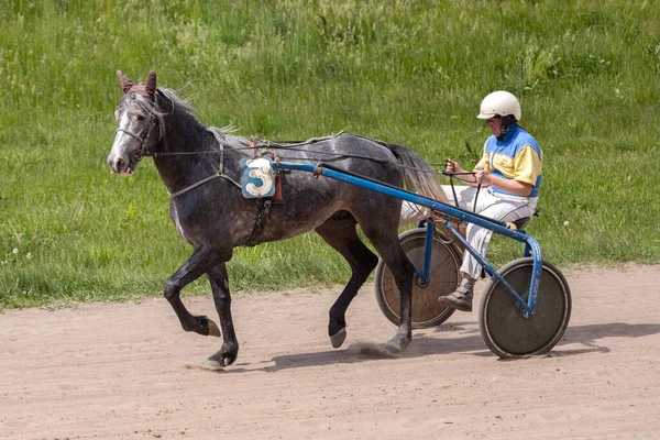 Kiev Oekraïne Mei 2023 Paardenrennen Het Hippodroom Spectaculaire Paardensport Paarden — Stockfoto