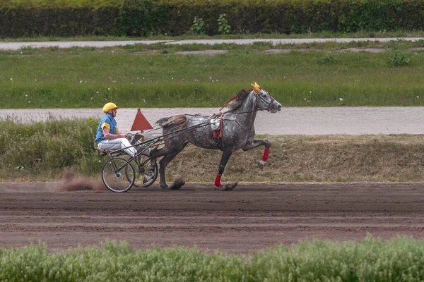Kiev Oekraïne Mei 2023 Paardenrennen Het Hippodroom Spectaculaire Paardensport Paarden — Stockfoto