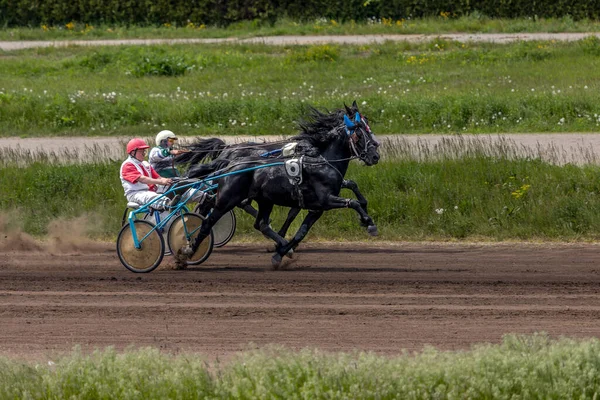 Kiev Ukraine Mai 2023 Course Chevaux Hippodrome Spectaculaire Sport Équestre — Photo