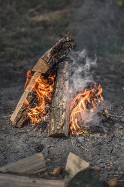 Ormandaki şenlik ateşi için tahtadan yapılmış bir piramit. Ateş yak. Yanıcı madde. Huzur içinde yat. Yürüyüşe çık. Tahta kütükler. Yangın tehlikesi. Ateşin sıcaklığı. Ateşin yanında kendini ısıt. Açık ateşte pişir.. 
