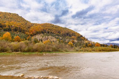 Sonbahar manzarası. Yeşil, turuncu ve kırmızı ağaçlar. Sonbahar Karpat Dağları. Tepe ormanla kaplı. Vahşi doğanın görkemi ve güzelliği. Doğanın manzaralı bir köşesi. Sonbahar dağ manzarasının ılık ve parlak renkleri.