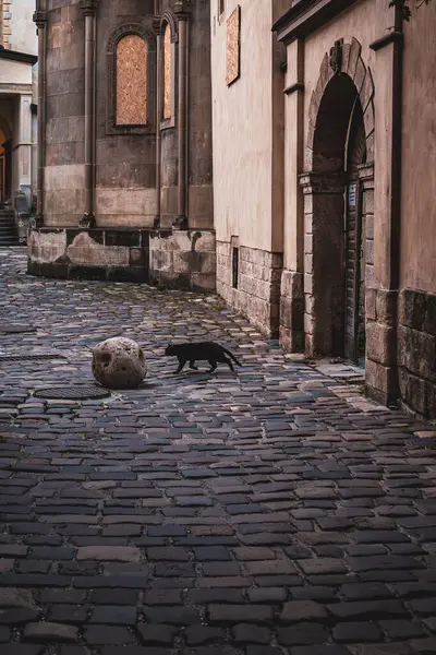 Architecture of Lviv. Empty street. Romance of an ancient city. Cobblestone between the houses. European Center. Old building. Travel through Ukraine. Ukrainian architecture. An empty cobbled street in the old center of Lviv in Ukraine.
